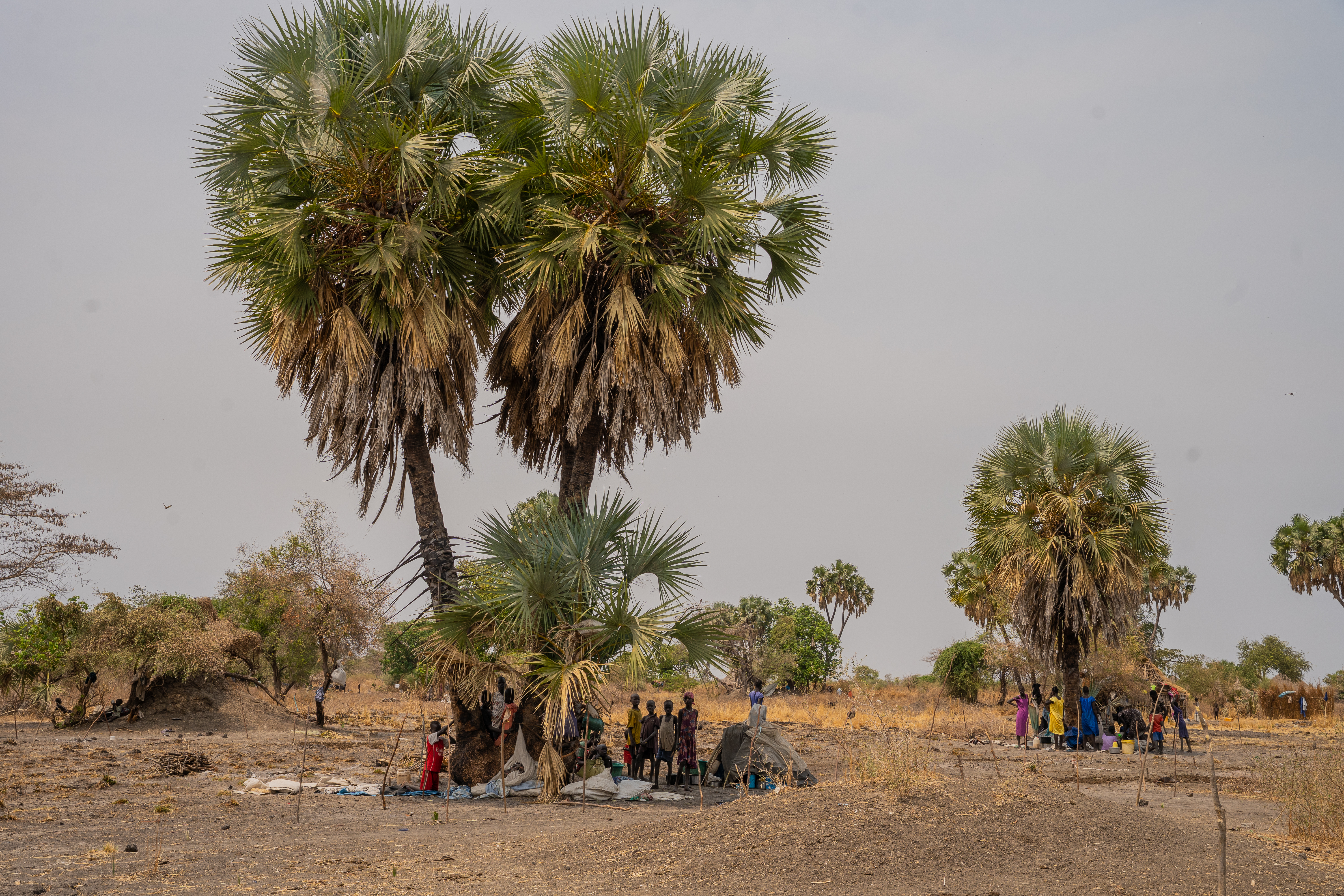People under a tree in South-Sudan
