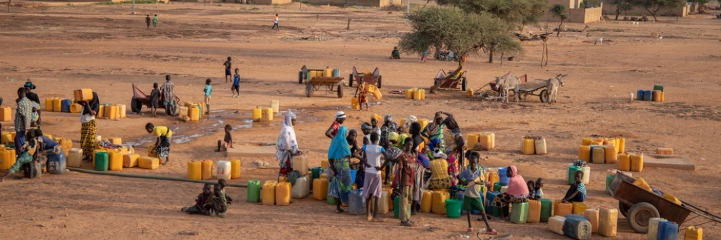 djibo